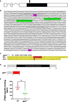 Reduced Vitellogenesis and Female Fertility in Gper Knockout Zebrafish